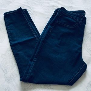 WILD FABLE | High Rise Skinny Jeans in Dark Wash